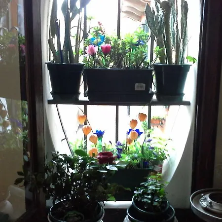 Rainbow San Marco 3*